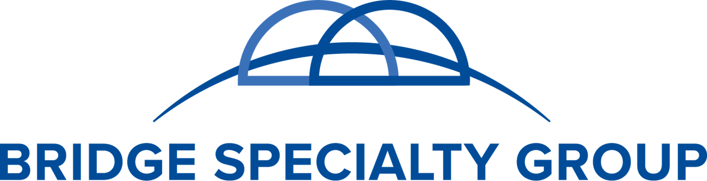 BSG Logo Hor